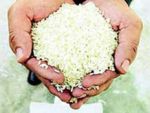 Pirinç fiyatlarında şok indirim