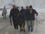 Rize'de kar, hayatı felç etti