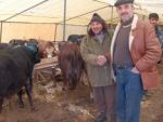 Kurban pazarları hareketlendi