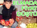 Trabzon'da elma 75 kuruşa düştü