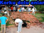 Rize parkında faciadan dönüldü