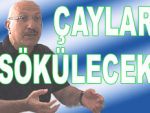 ÇAY BAHÇELERİ YENİLENECEK