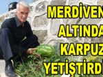 Pazar'da 10 kiloluk karpuz yetiştirdi