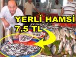 Karadeniz hamsisi tezgahta 7,5 TL