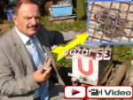 Pazar'da arıcıların KENE korkusu