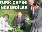 Gürcüler, çay ve Çaykur'u inceledi