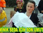 Minik Seda için son umut Ankara