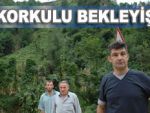 Güneysu'da büyük heyelan riski