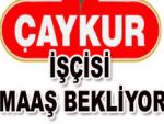 ÇAYKUR İŞÇİSİNİN MAAŞ İSYANI