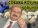 Havayı koyun çobanlarına soruyor