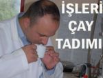 Çay tadımcıları işe başladı!