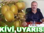 PAZAR KİVİ BİRLİĞİ'NDEN UYARILAR