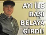 Artvinli arıcı, ayıyı devlete şikayet etti!