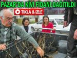 Pazarlı üreticilere kivi fidanı dağıtıldı