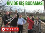 Kivi üreticilerine uygulamalı kış budaması