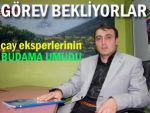 Budama, çay eksperleri için umut oldu