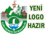 Çamlıhemşin Kaymakamlığı logo yaptırdı