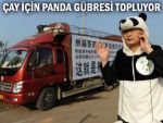 Çay için en doğal gübre Panda dışkısı!