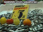 Hamsiyi en ucuz sakarya yiyor!