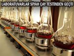 Laboratuvarlar siyah çay testinden geçti