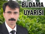 Ziraatçılar Derneği'nden budama uyarısı!