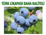 Türkiye'de Avrupa'dan daha iyi Likapa yetişiyor