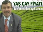 Yaş çay satışı başlamadan fiyatı açıklansın