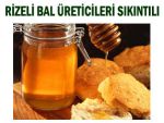 Rize Arıcılar Birliği: "UCUZ BAL SAHTEDİR!"