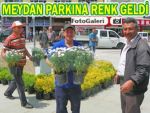 Pazar Meydan Parkı yeşillendiriliyor