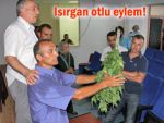 Rize'de Isırgan otlu HES protestosu!