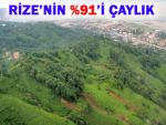 RİZE'NİN DAĞI TAŞI YEŞİL ALTIN