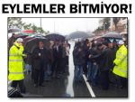 ÇAY ÜRETİCİLERİ SAHİL YOLUNU KAPATTI!