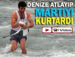 Yan yatan tekneyi bırakıp martıyı kurtardı