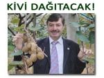 2 ton kivi, 10 bin simit, 500 kg likapa dağıtacak!