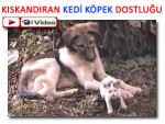 Rize'de kedi yavrusu ile köpeğin dostluğu