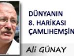 DÜNYANIN 8. HARİKASI ÇAMLIHEMŞİN