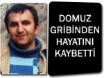 ARTVİN'DE DOMUZ GRİBİ PANİĞİ