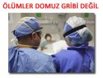 Rahatlatan DOMUZ GRİBİ açıklaması