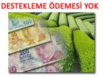 Yaş çay destekleme ödemeleri ne zaman?