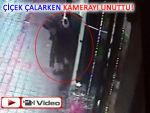 ÇİÇEK ÇALARKEN KAMERAYA YAKALANDI