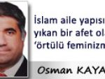 İslam aile yapısını yıkan bir afet olarak ‘örtülü feminizm’
