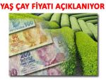 Çaykur, 2013 yaş çay fiyatını yarın açıklıyor