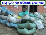 Üreticinin 500 kilo çay, 1.5 ton gübresi çalındı!