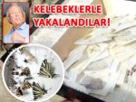 Kelebek kaçakçısı 2 İtalyan yakalandı!