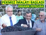 Rize'de organik pekmez imalatına başlandı