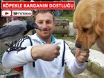 Rize'de Köpekle karganın kıskandıran dostluğu