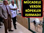 Benim dönemimde hiçbir köpek adam ısırmadı!