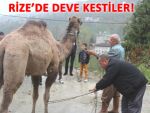 RİZE'DE DEVE KURBAN ETTİLER!