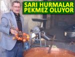 Rize’de hurma pekmezi üretimine başlandı