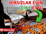 Hırsızlar, eşya bulamayınca evin ortasına etti!